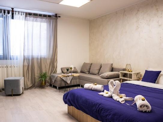 סובוטיקה Center Cozy Apartment מראה חיצוני תמונה